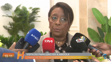 Rede Girassol - Rede Girassol