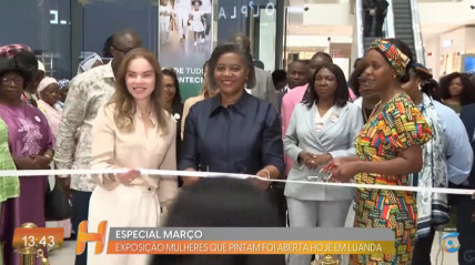 Rede Girassol - Rede Girassol