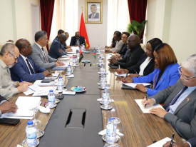 Delega&ccedil;&otilde;es de Angola e da Nam&iacute;bia analisam estado de implementa&ccedil;&atilde;o de projectos na &aacute;rea da energia - Cedida