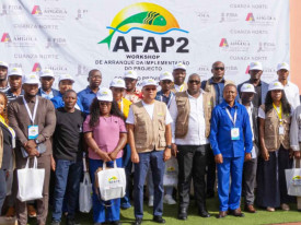 Projecto de Pesca Artesanal e Aquicultura (AFAP-2) conta com financiamento de 90 milh&otilde;es de d&oacute;lares - Angop