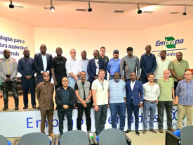 Delega&ccedil;&otilde;es de Angola e do Brasil - DR