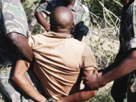 Detido ca&ccedil;ador furtivo no Parque da Qui&ccedil;ama - DR