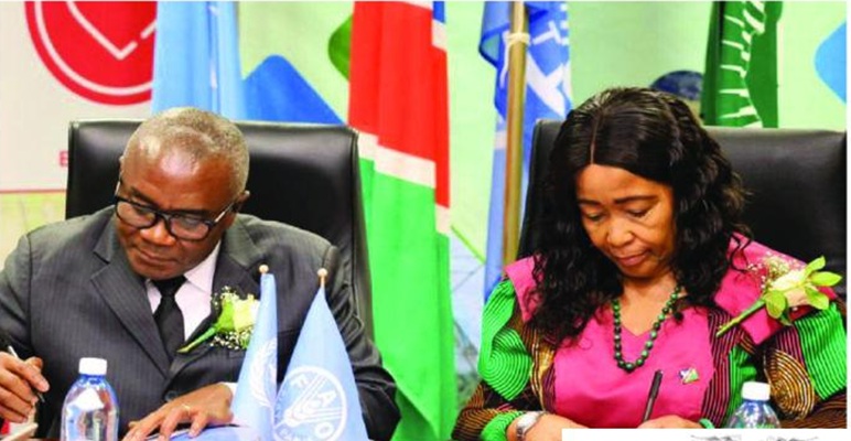 FAO assina acordo-quadro para fortalecer seguran&ccedil;a alimentar na Nam&iacute;bia