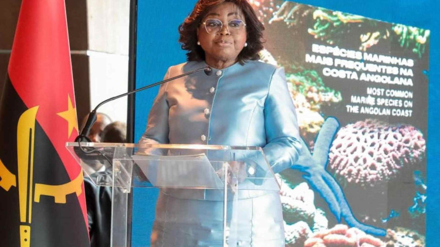 Vice-Presidente da Rep&uacute;blica, Esperan&ccedil;a da Costa, prestigia lan&ccedil;amento de obra cient&iacute;fica sobre esp&eacute;cies marinhas