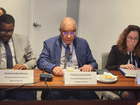 Embaixador Francisco da Cruz destaca participa&ccedil;&atilde;o de Angola em iniciativas para responder &agrave;s amea&ccedil;as &agrave; seguran&ccedil;a mar&iacute;tima - MIREX