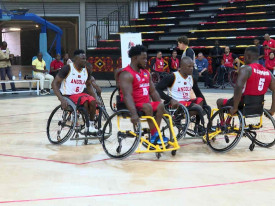 Selec&ccedil;&atilde;o nacional  - Rede Girassol 