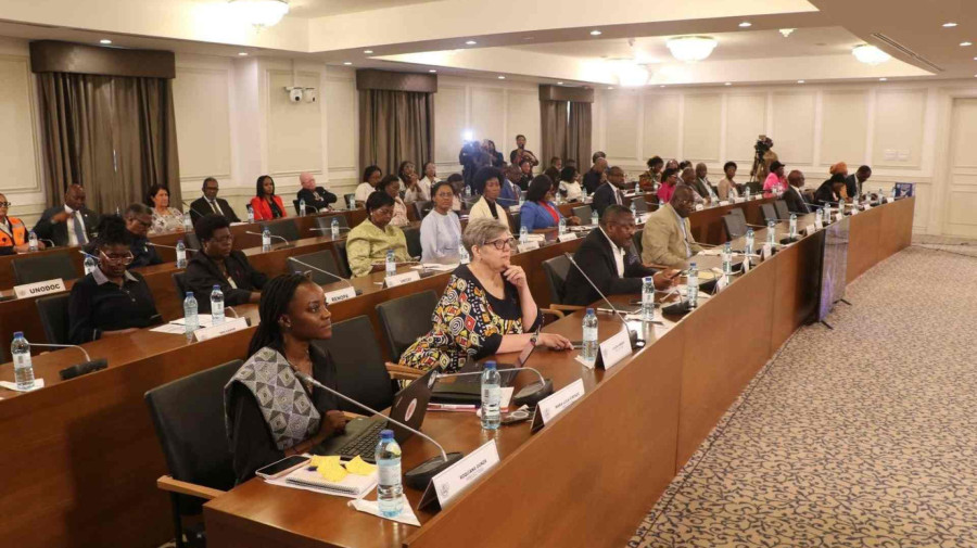 Assembleia Nacional realiza workshop dedicado aos avan&ccedil;os da medicina na luta contra o VIH-Sida