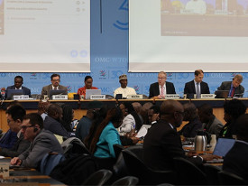 Reuni&atilde;o ministerial da OMC nos Camar&otilde;es termina sem acordos - DR