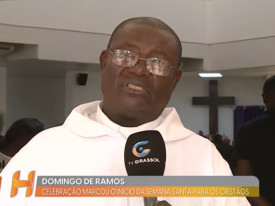 Rede Girassol - Rede Girassol