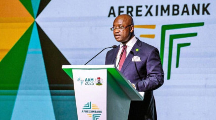 Afreximbank mobiliza US$ 10 bili&otilde;es para proteger a &Aacute;frica e o Caribe da crise do Golfo 