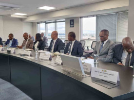 Delega&ccedil;&atilde;o angolana no Brasil  - DR