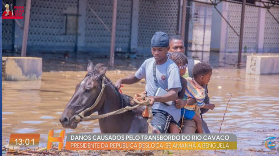 Rede Girassol