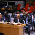 Representante permanente de Angola junto das Na&ccedil;&otilde;es Unidas, Francisco Jos&eacute; da Cruz, discursa no Conselho de Seguran&ccedil;a da ONU