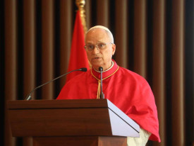 Papa Le&atilde;o XIV discursa em encontro em Luanda - Edi&ccedil;&otilde;es Novembro