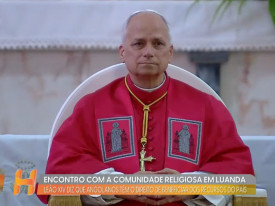 Rede Girassol - Rede Girassol