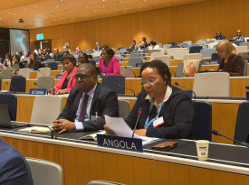 Embaixadora Ana Maria de Oliveira  - Cedida