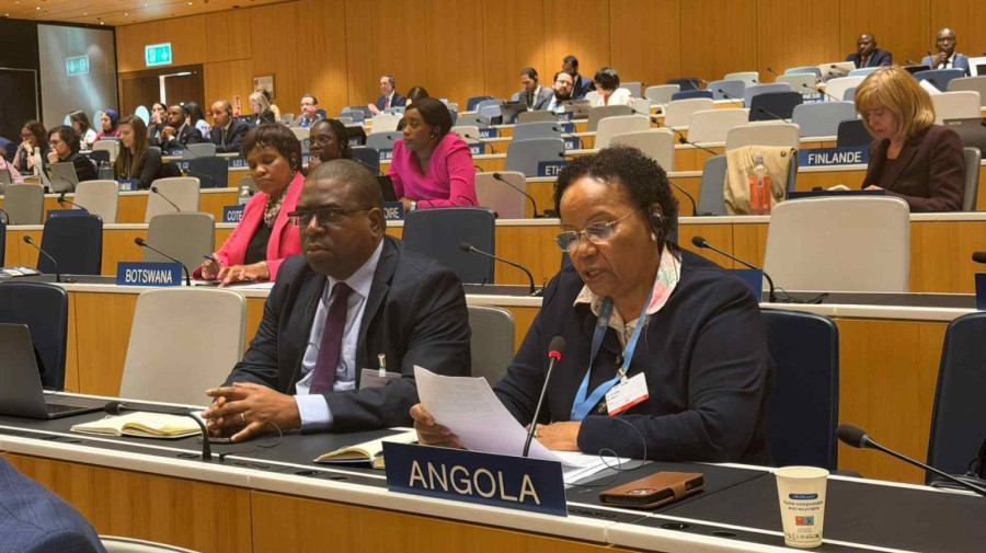 Embaixadora Ana Maria de Oliveira 