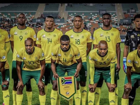 Selec&ccedil;&atilde;o nacional de futebol da &Aacute;frica do Sul - DR