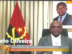 Rede Girassol - Rede Girassol