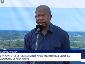 Rede Girassol - Rede Girassol