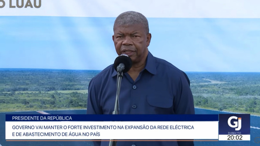 Rede Girassol