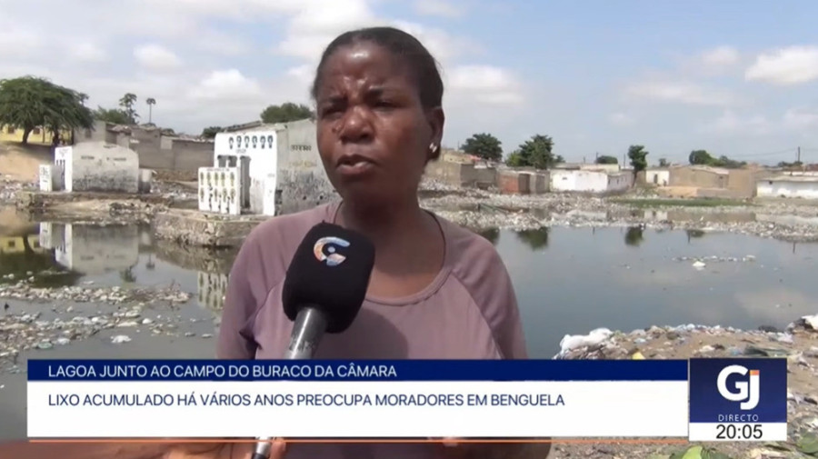 Rede Girassol