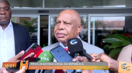 Rede Girassol