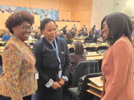 Ministra da Sa&uacute;de, S&iacute;lvia Lutucuta, em Genebra, para participar na Assembleia Mundial da Sa&uacute;de - cedida
