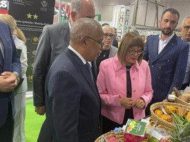 Produtos agr&iacute;colas do Bengo expostos na S&eacute;rvia   - DR