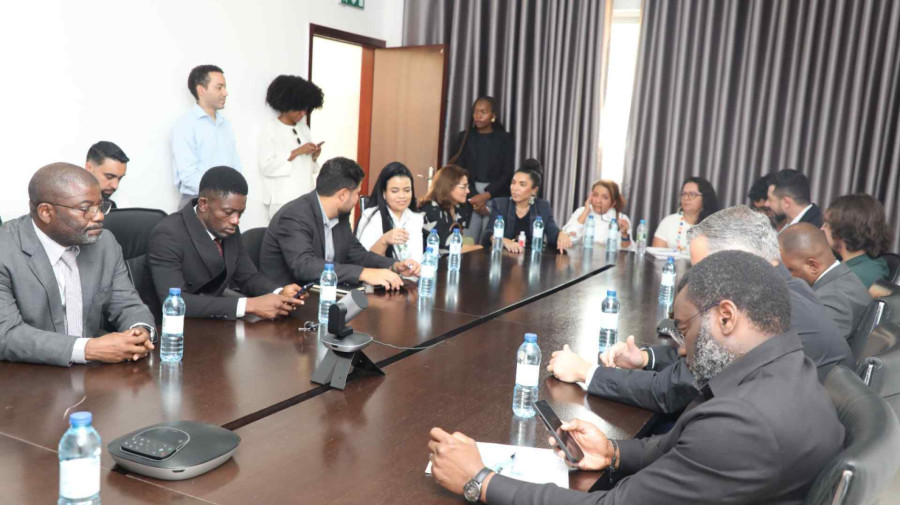 Encontro entre t&eacute;cnicos angolanos e brasileiros do sector da sa&uacute;de