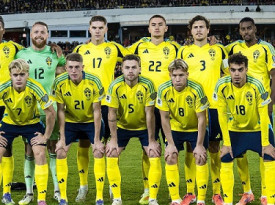 Selec&ccedil;&atilde;o nacional de futebol da Su&eacute;cia - DR