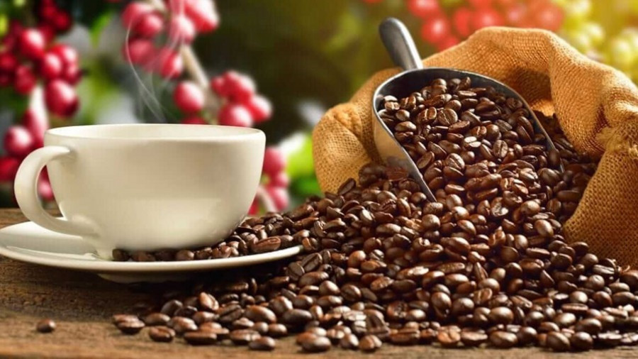 Novo regulamento de exporta&ccedil;&atilde;o visa valorizar caf&eacute; angolano