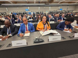 Ministra Teresa Dias em Genebra, Su&iacute;&ccedil;a  - Cedida