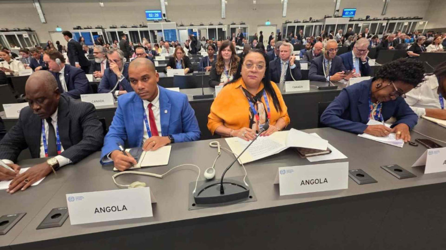 Ministra Teresa Dias em Genebra, Su&iacute;&ccedil;a 