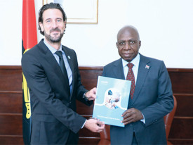 Novo representante do UNICEF em Angola apresentou as cartas credenciais  - DR