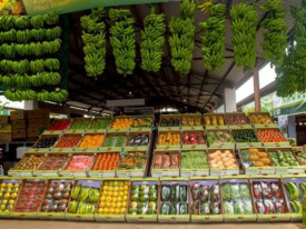 Feira da banana impulsiona parcerias para produ&ccedil;&atilde;o de fertilizantes org&acirc;nicos - DR
