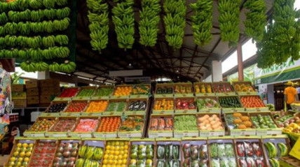 Feira da banana impulsiona parcerias para produ&ccedil;&atilde;o de fertilizantes org&acirc;nicos