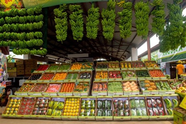 Feira da banana impulsiona parcerias para produ&ccedil;&atilde;o de fertilizantes org&acirc;nicos