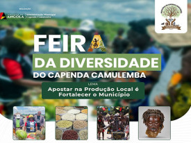 Feira de Capenda Camulemba  - DR