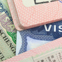 Vistos