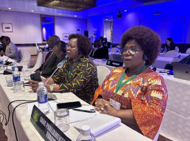 Deputada Lu&iacute;sa Dami&atilde;o, presidente da Comiss&atilde;o de Desenvolvimento Humano, Social e Programas Especiais do F&oacute;rum Parlamentar da SADC, representou a Assembleia Nacional - Assembleia Nacional