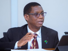 Tanz&acirc;nia mant&eacute;m um forte ritmo de crescimento no primeiro semestre de 2026 - DR