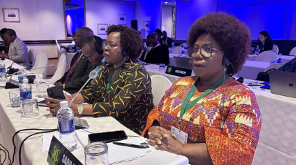 Deputada Lu&iacute;sa Dami&atilde;o, presidente da Comiss&atilde;o de Desenvolvimento Humano, Social e Programas Especiais do F&oacute;rum Parlamentar da SADC, representou a Assembleia Nacional