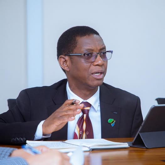 Tanz&acirc;nia mant&eacute;m um forte ritmo de crescimento no primeiro semestre de 2026