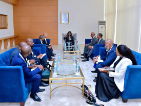 Encontro entre delega&ccedil;&otilde;es da sa&uacute;de de Angola e Mo&ccedil;ambique  - DR