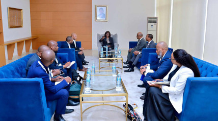 Encontro entre delega&ccedil;&otilde;es da sa&uacute;de de Angola e Mo&ccedil;ambique 