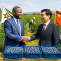Zimbabwe exporta primeiro carregamento de mirtilos para a China
