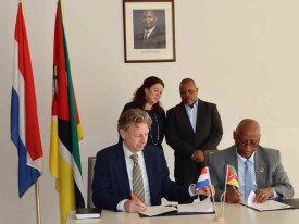 Mo&ccedil;ambique e Pa&iacute;ses Baixos firmam acordo para desenvolvimento de sementes - DR