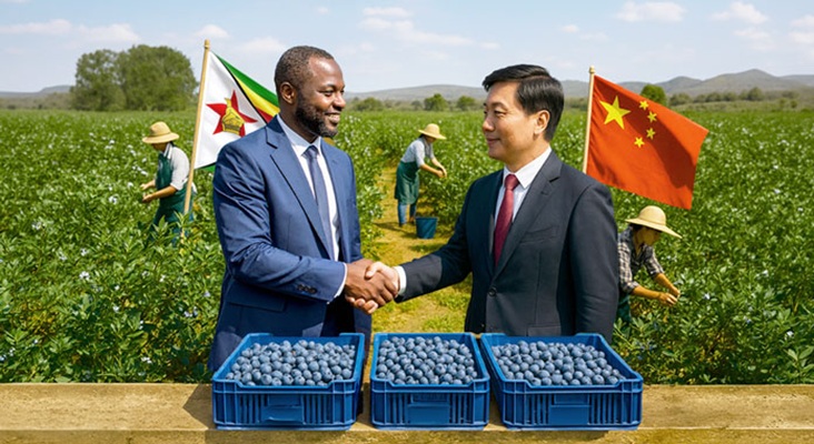 Zimbabwe exporta primeiro carregamento de mirtilos para a China
