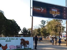 Feira de Leil&atilde;o de Gado  - Edi&ccedil;&otilde;es Novembro 